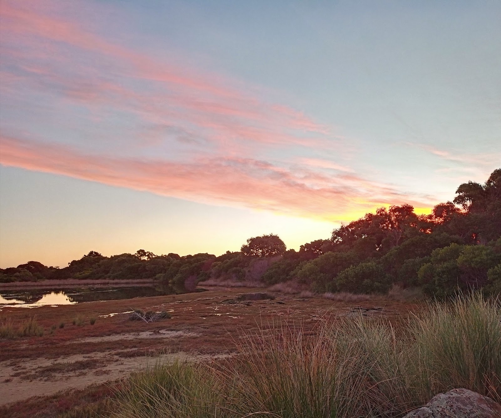 Bagot Point Coastal Reserve 3