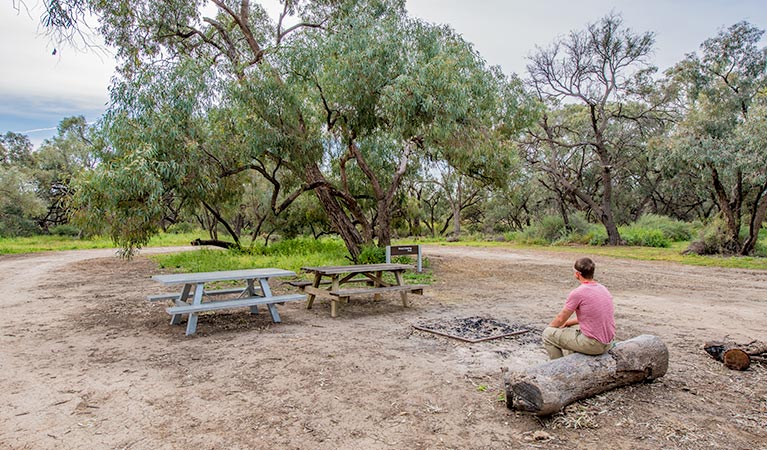 Willandra group campground 2