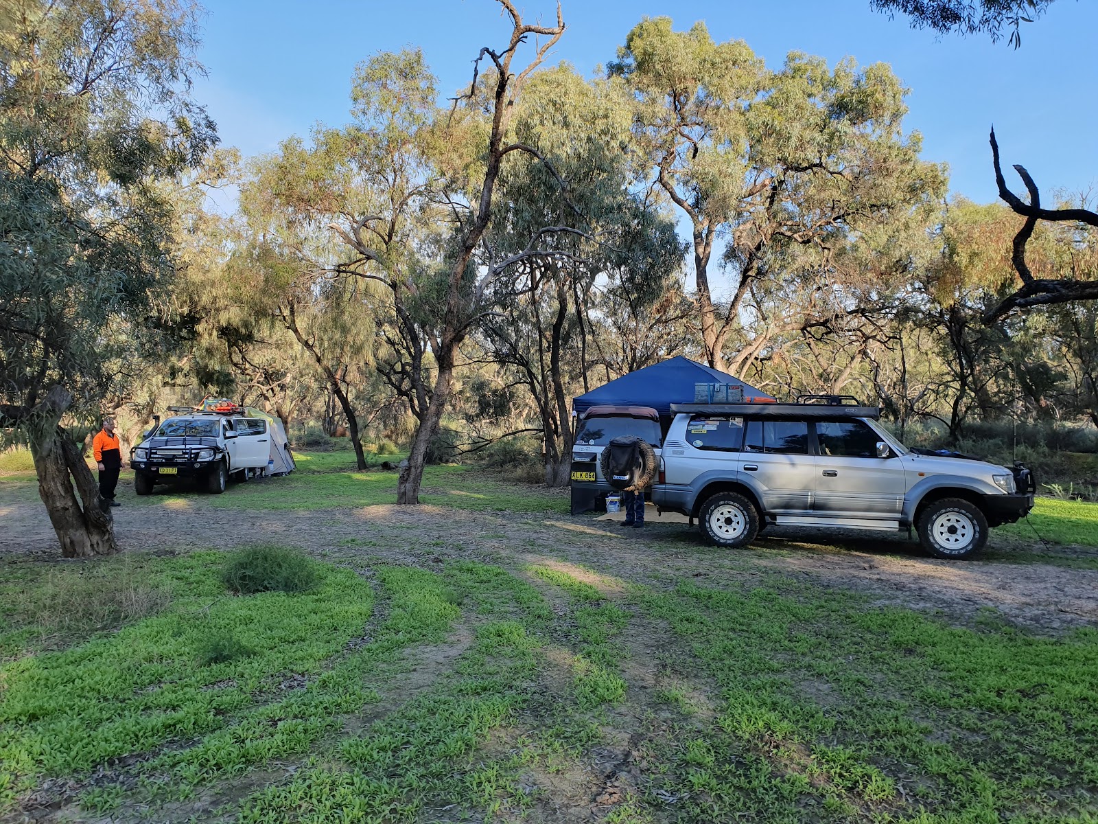 Willandra group campground 3