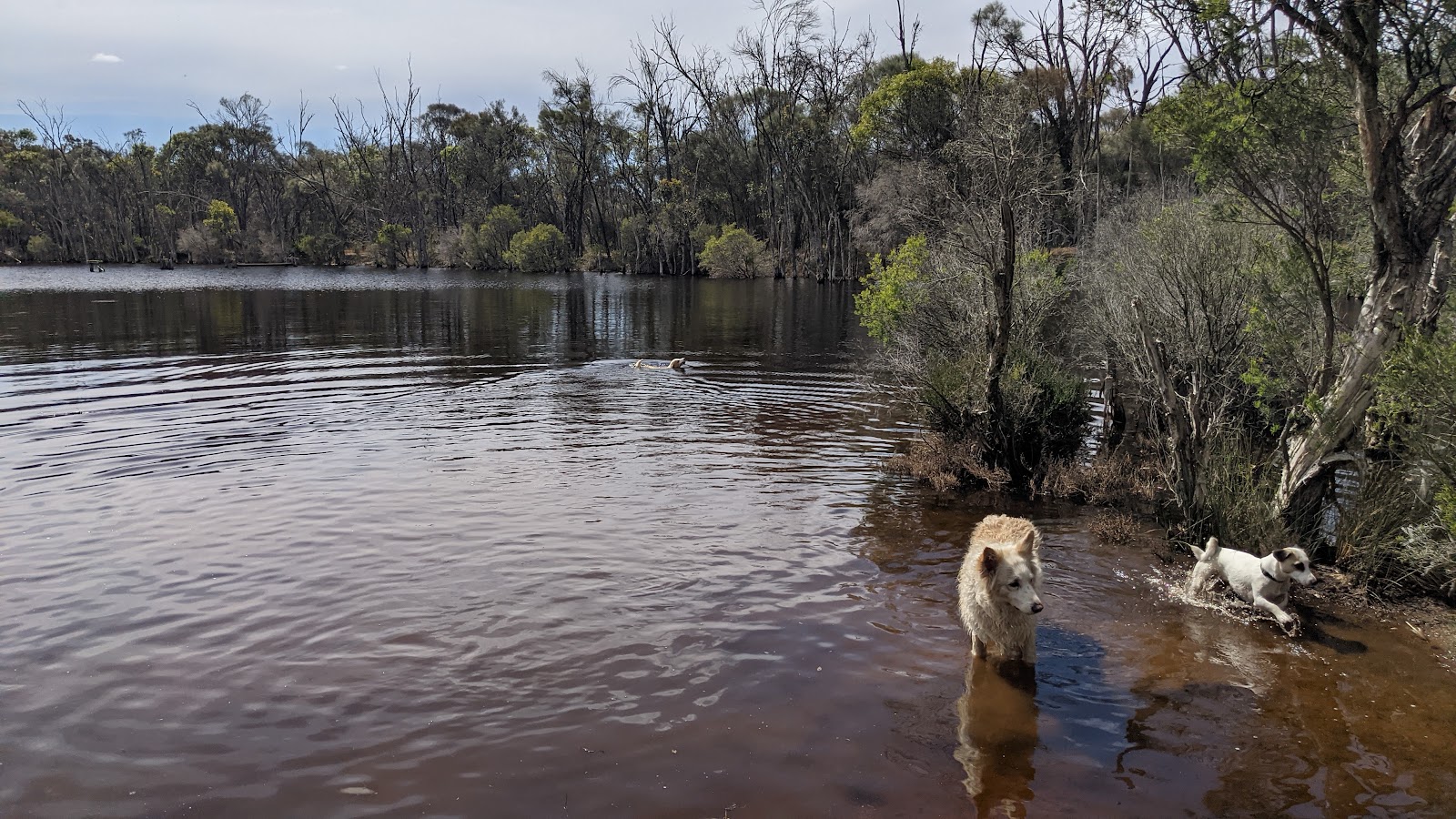 Farrar Nature Reserve 5
