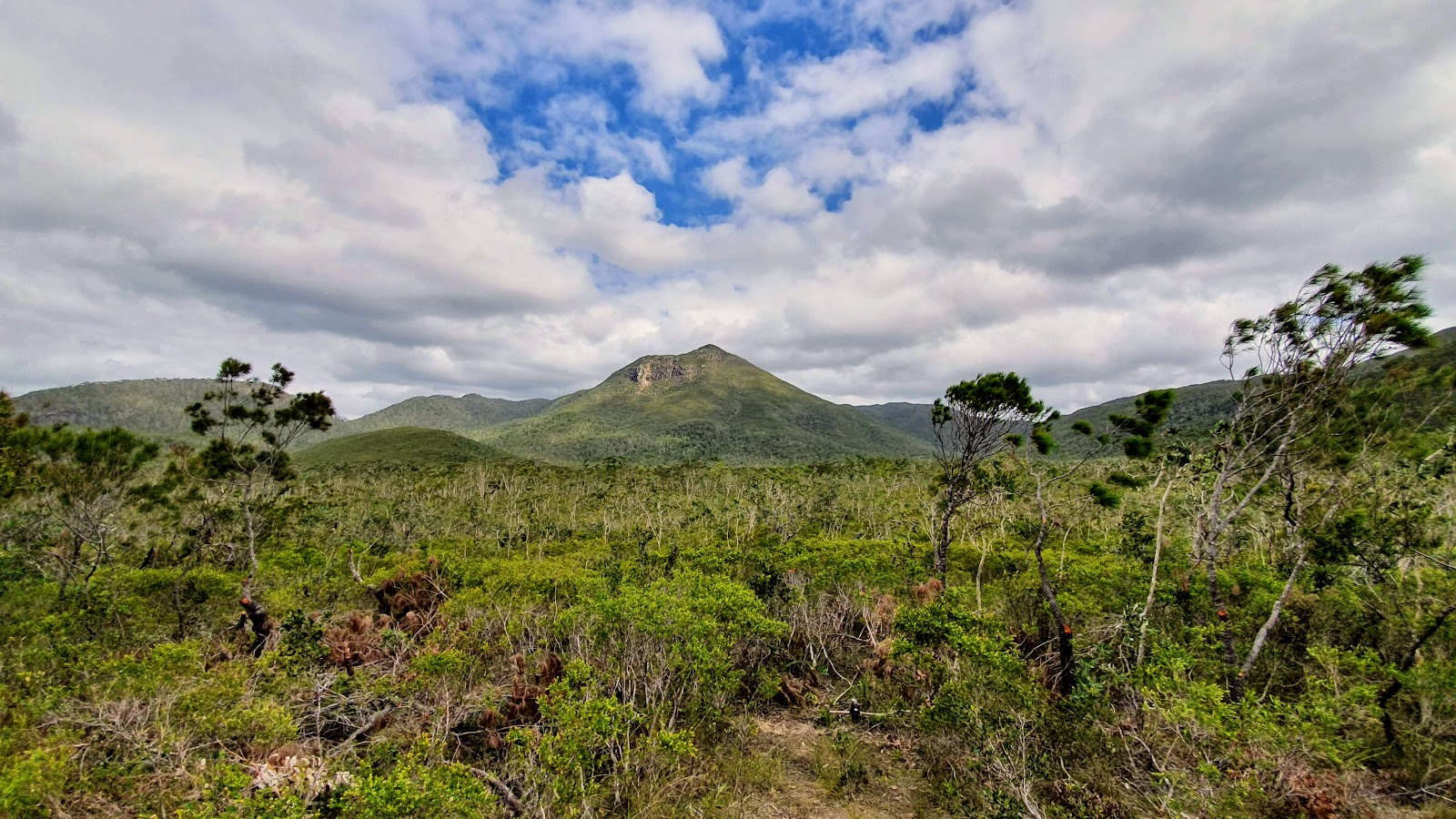 Kutini-Payamu (Iron Range) National Park (CYPAL) 3