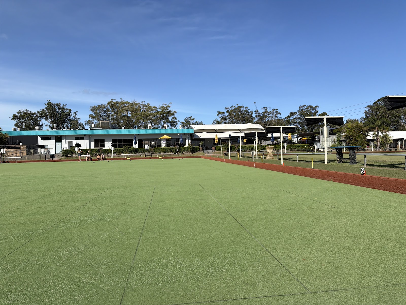 Tea Gardens 3