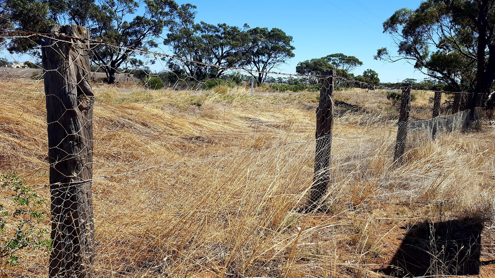 Kinnabulla Rest Area 2