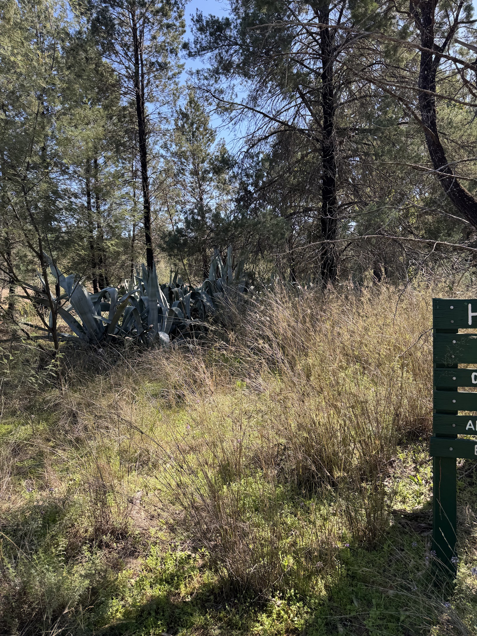 The Aloes Picnic Area 2