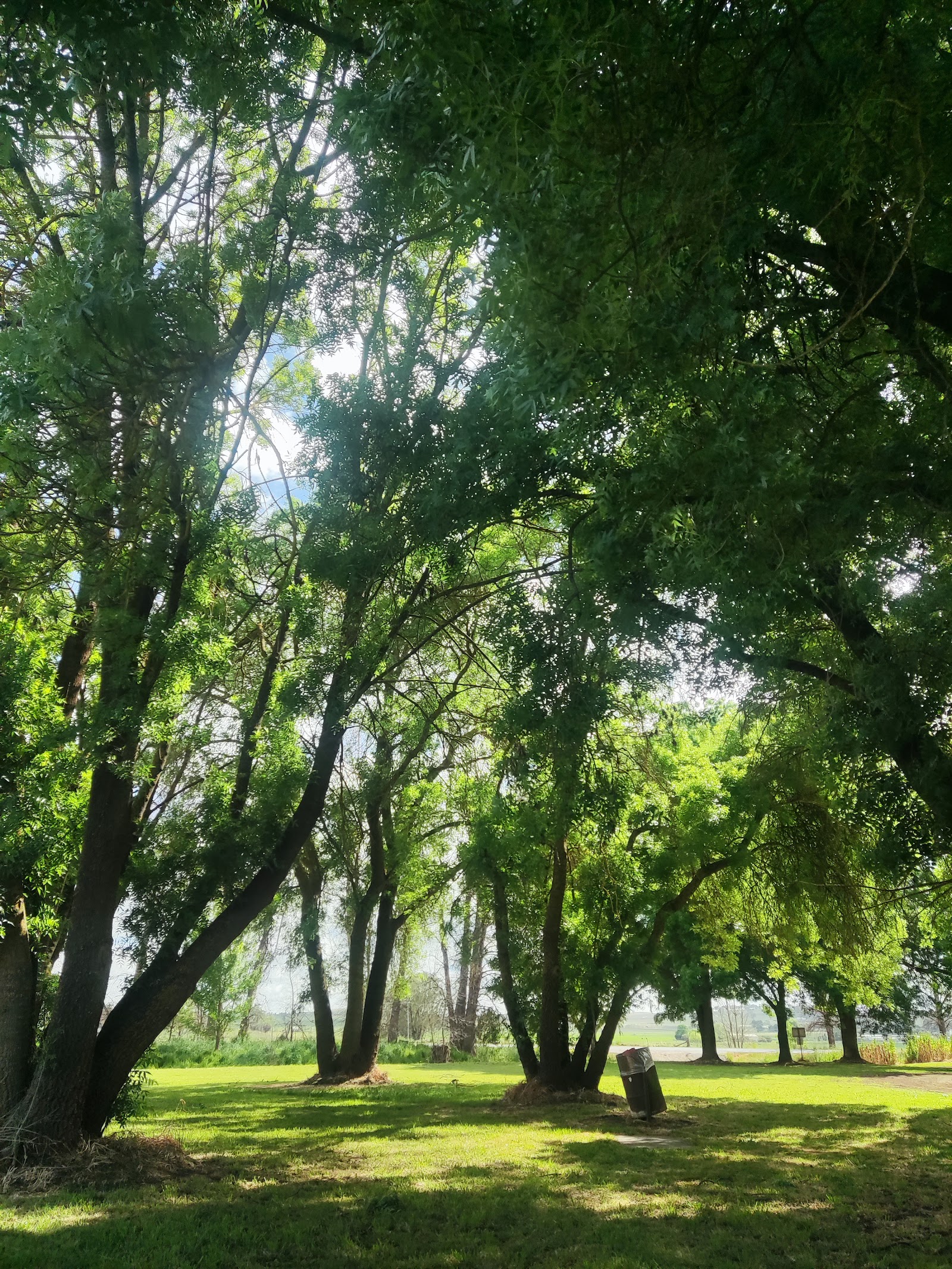 Canowindra Rest Area 2