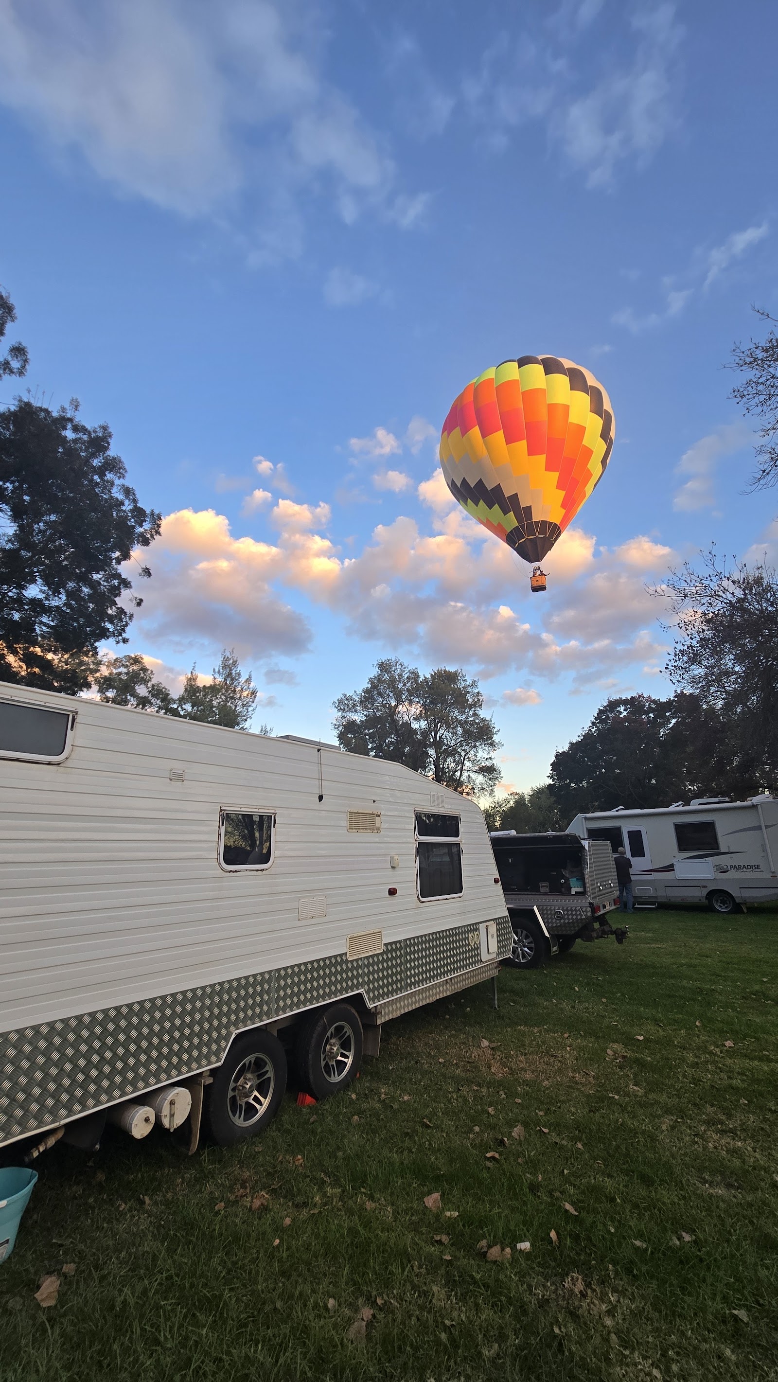 Canowindra Rest Area 5