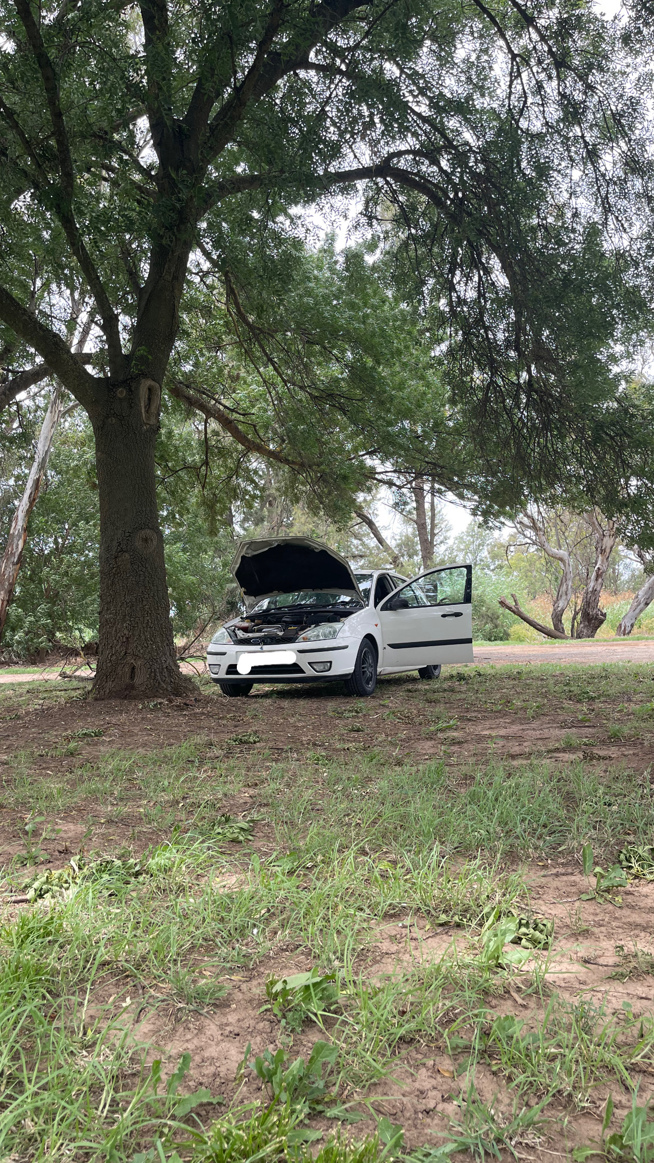 Canowindra Rest Area 6