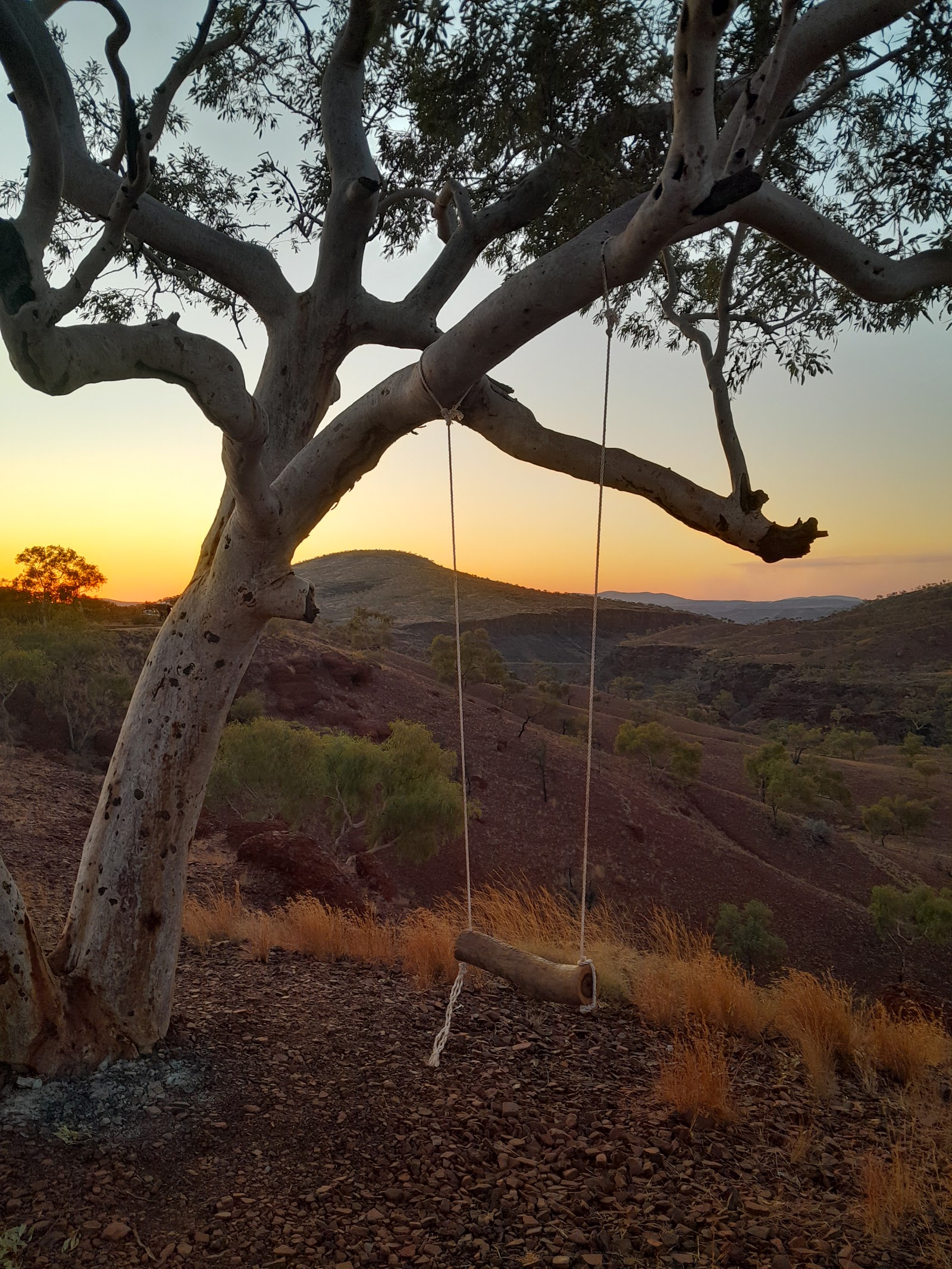 Albert Tognolini Lookout 3