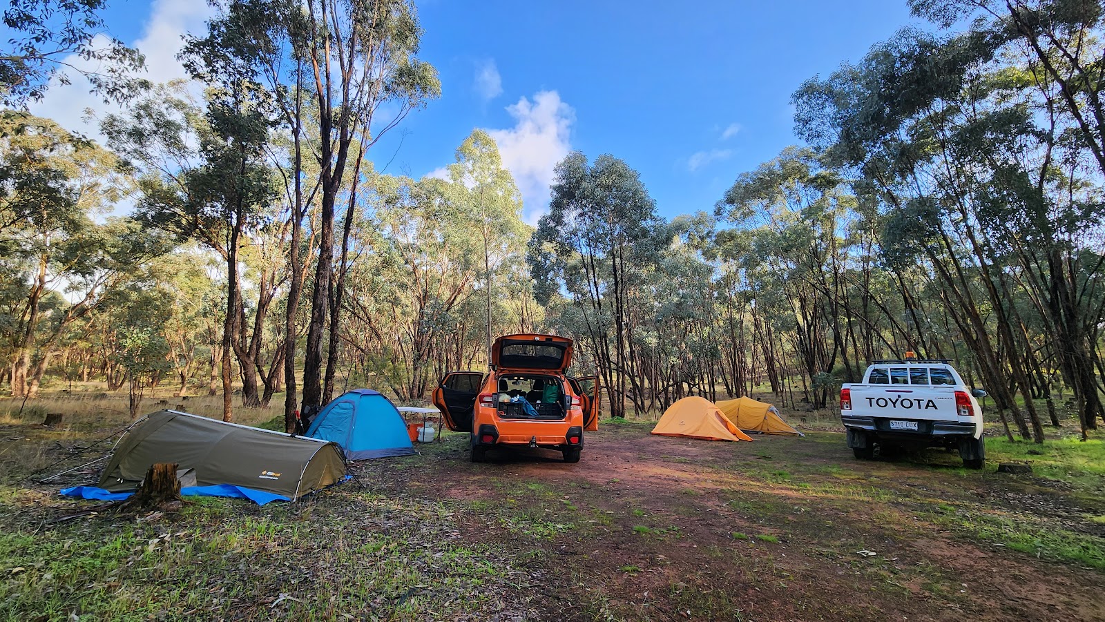 Ippinitchie Campground 2