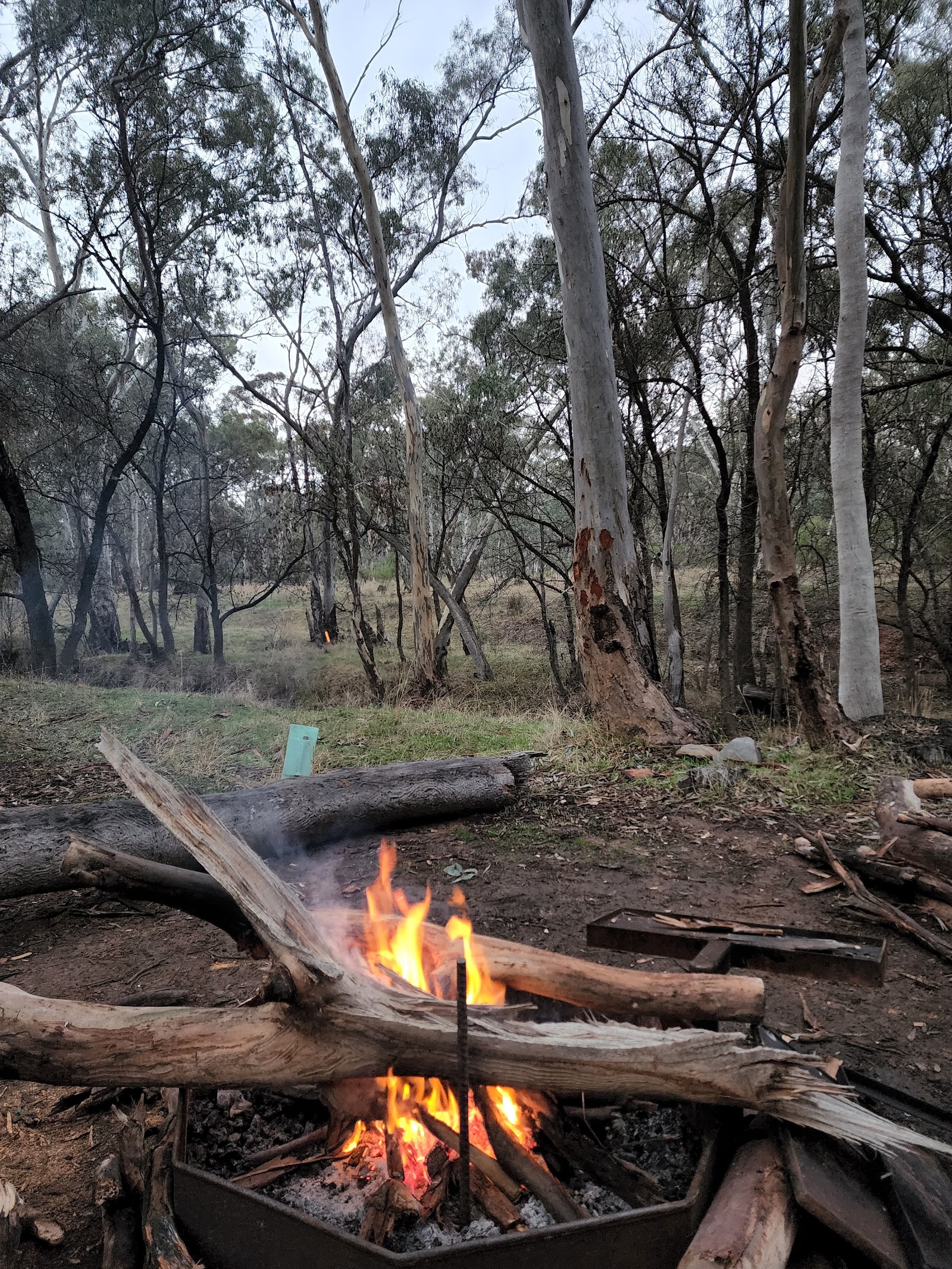 Ippinitchie Campground 3