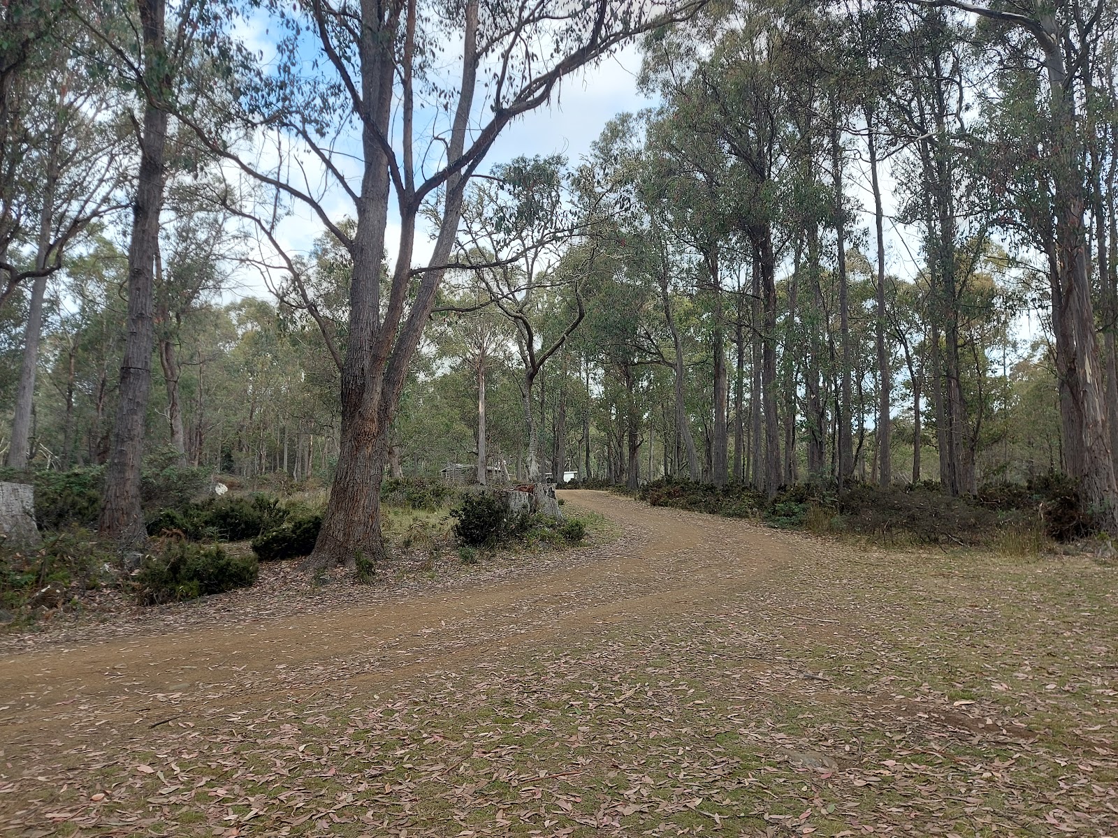 Lake Sorell Campground 2