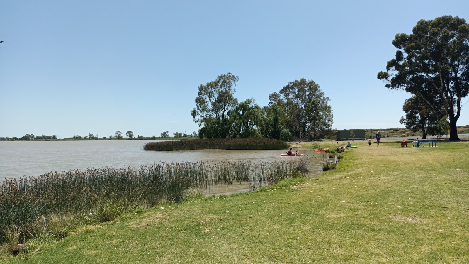 Apex park campsite 5