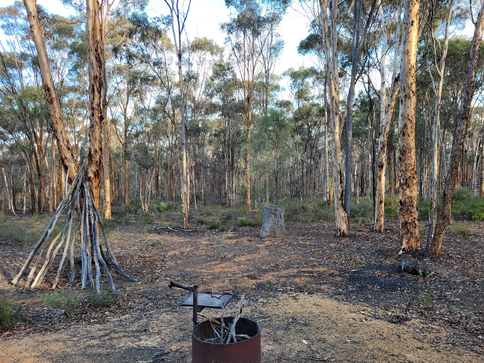 Gnaala Mia Campground 5