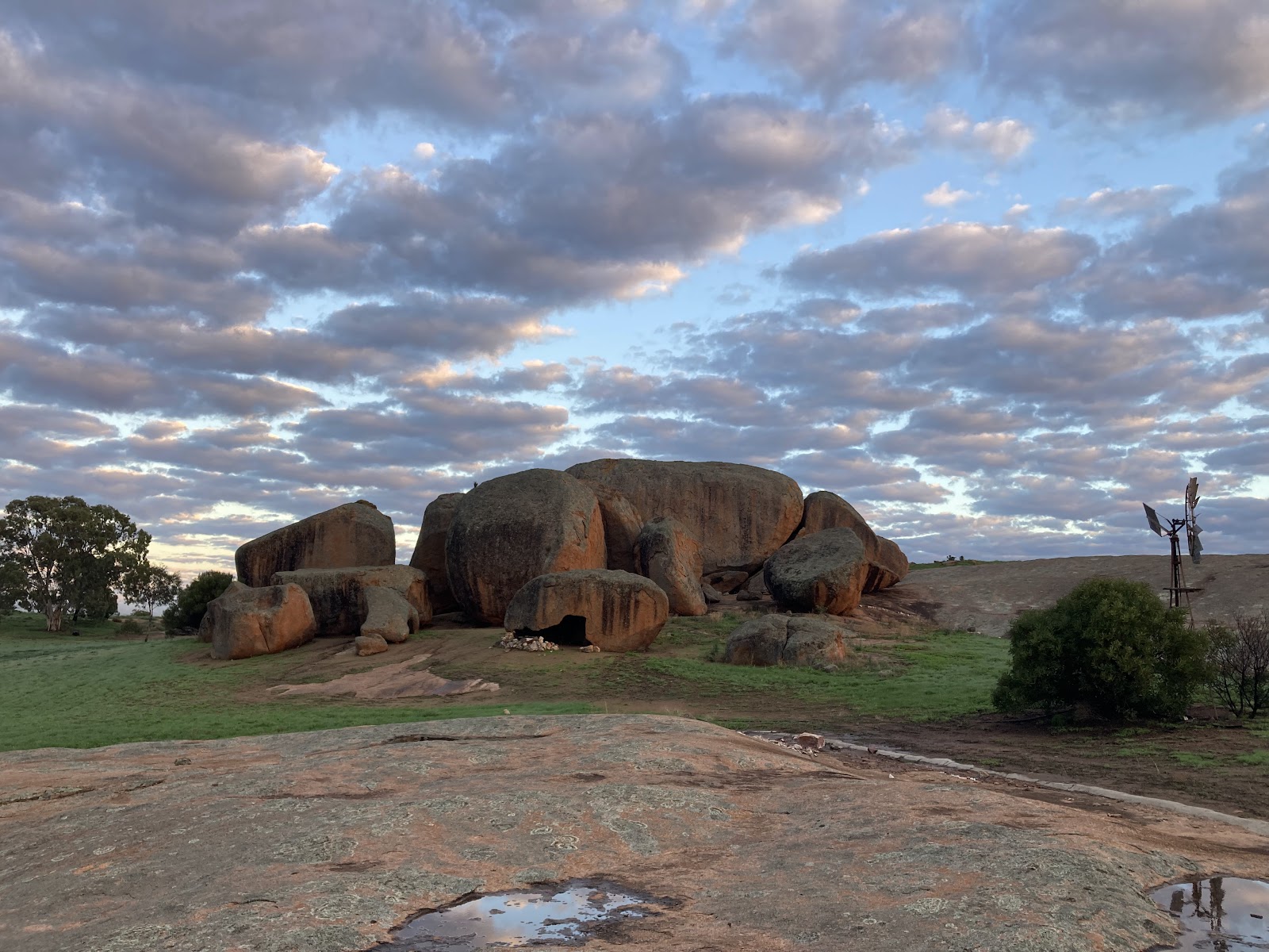 Wattle Grove Campground 4