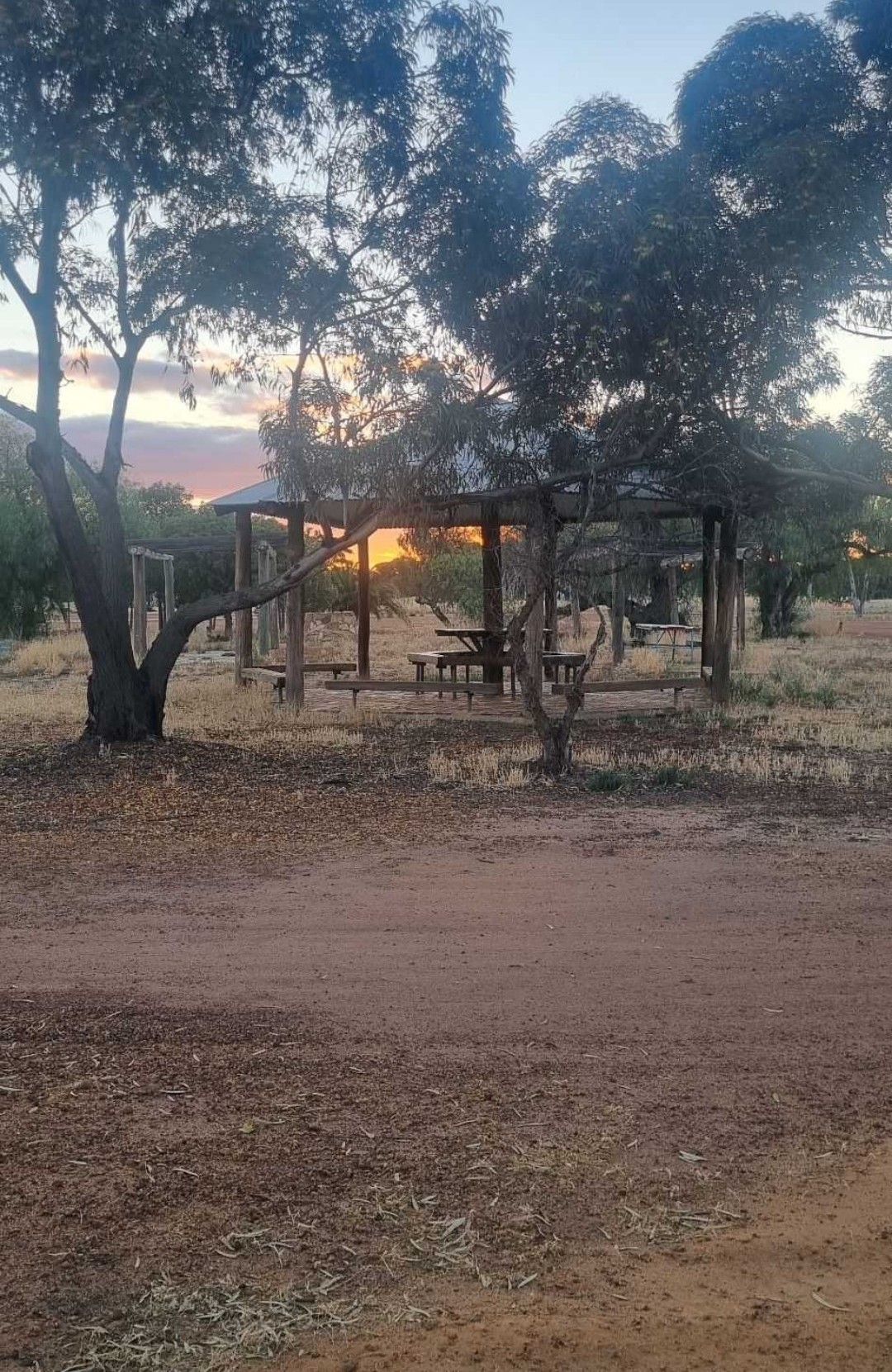 Burracoppin Centenary Park 3
