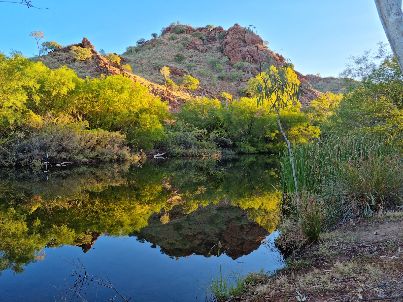Clem Walton Park & Corella Dam 3
