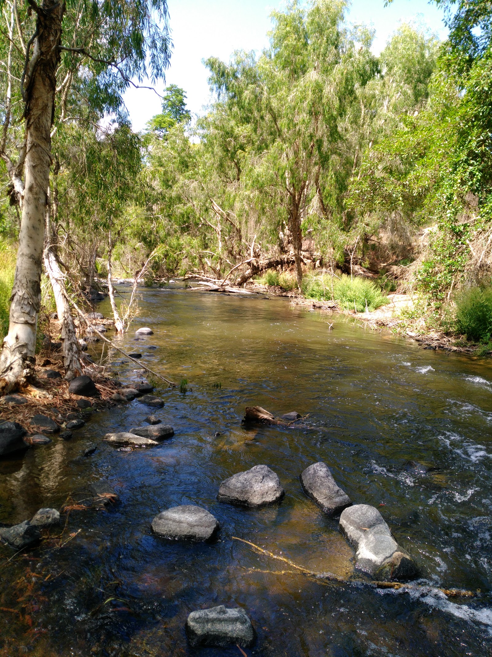 Burdekin River Campground 3