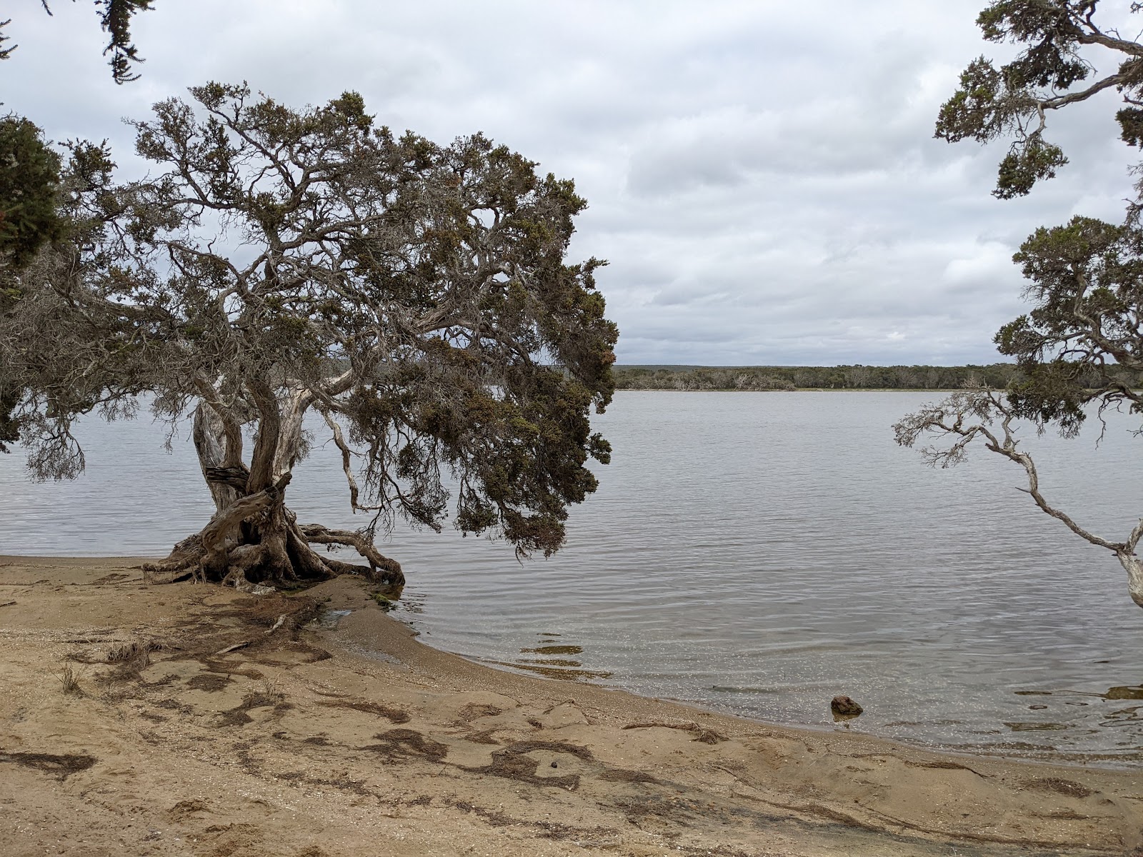 Millers Point Reserve 3