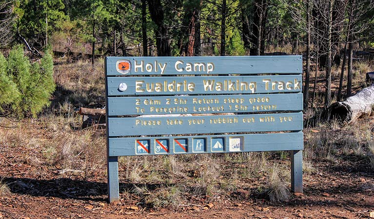 Holy Campground 3