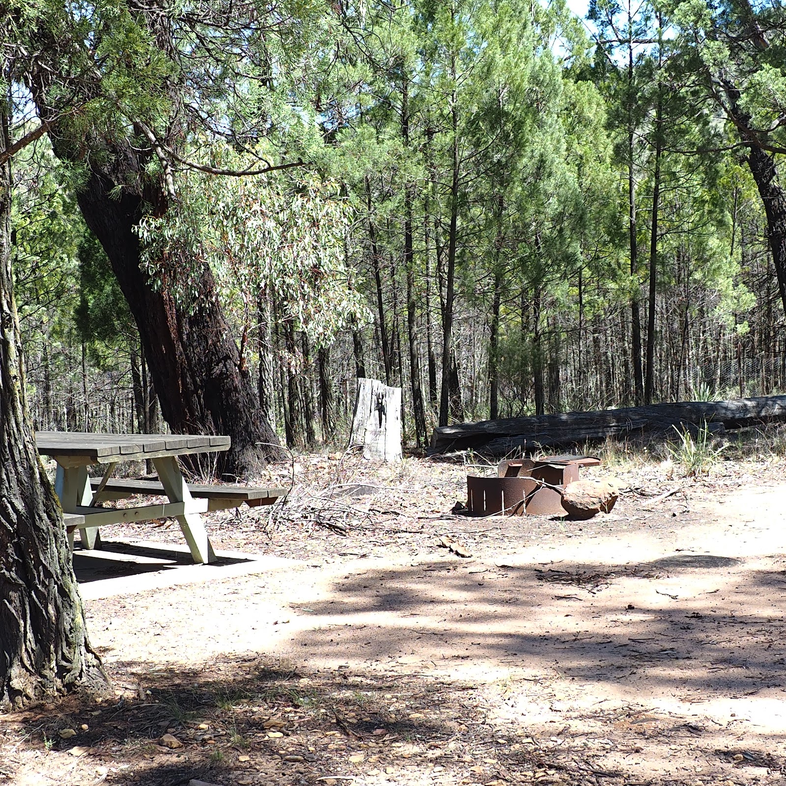Holy Campground 6