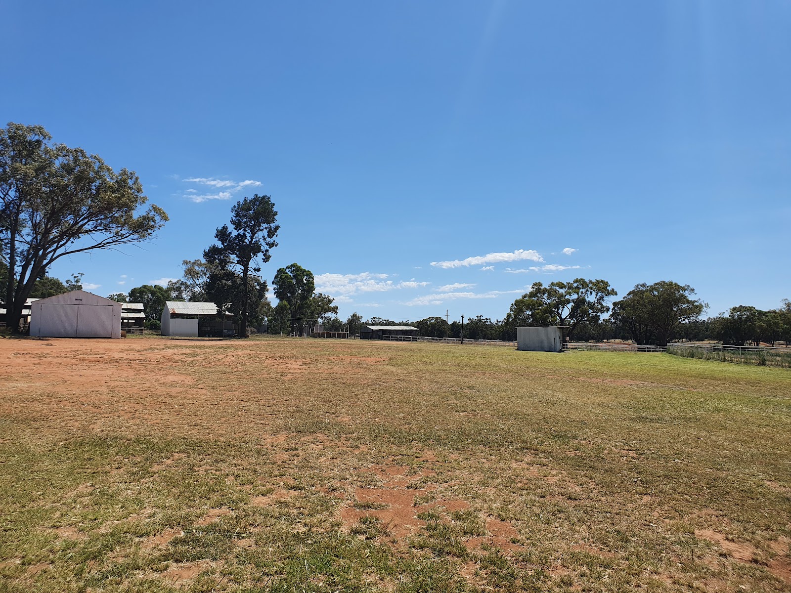 Weethalle Showgrounds 5