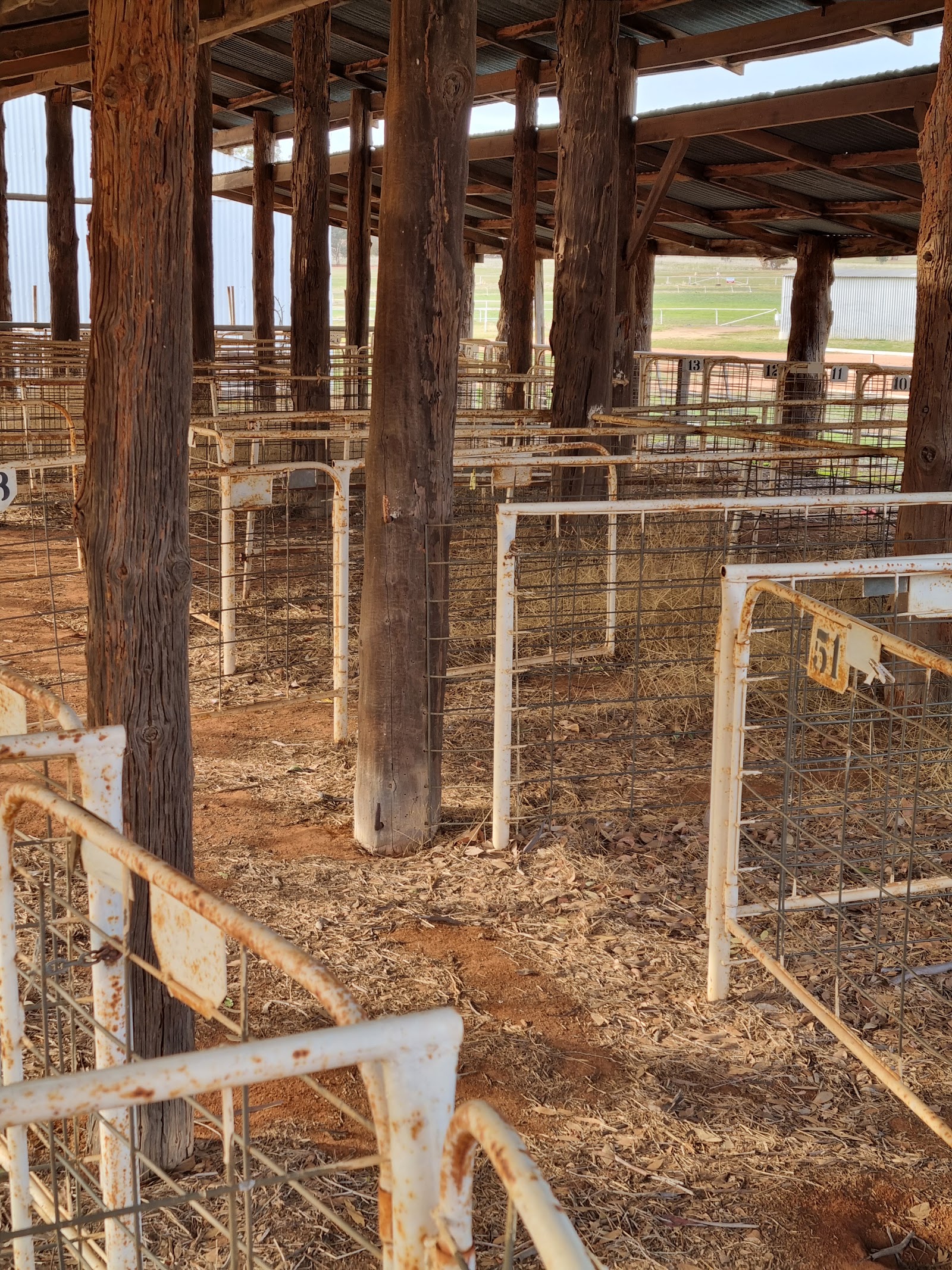 Weethalle Showgrounds 4