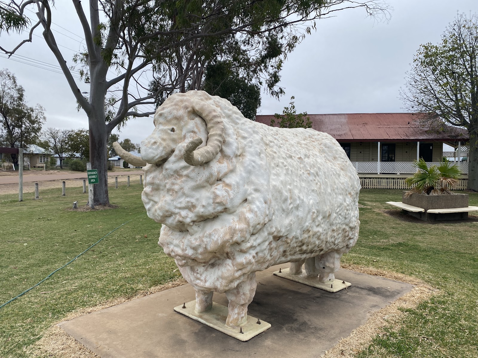 Barcoo River Camping Area Blackall 2