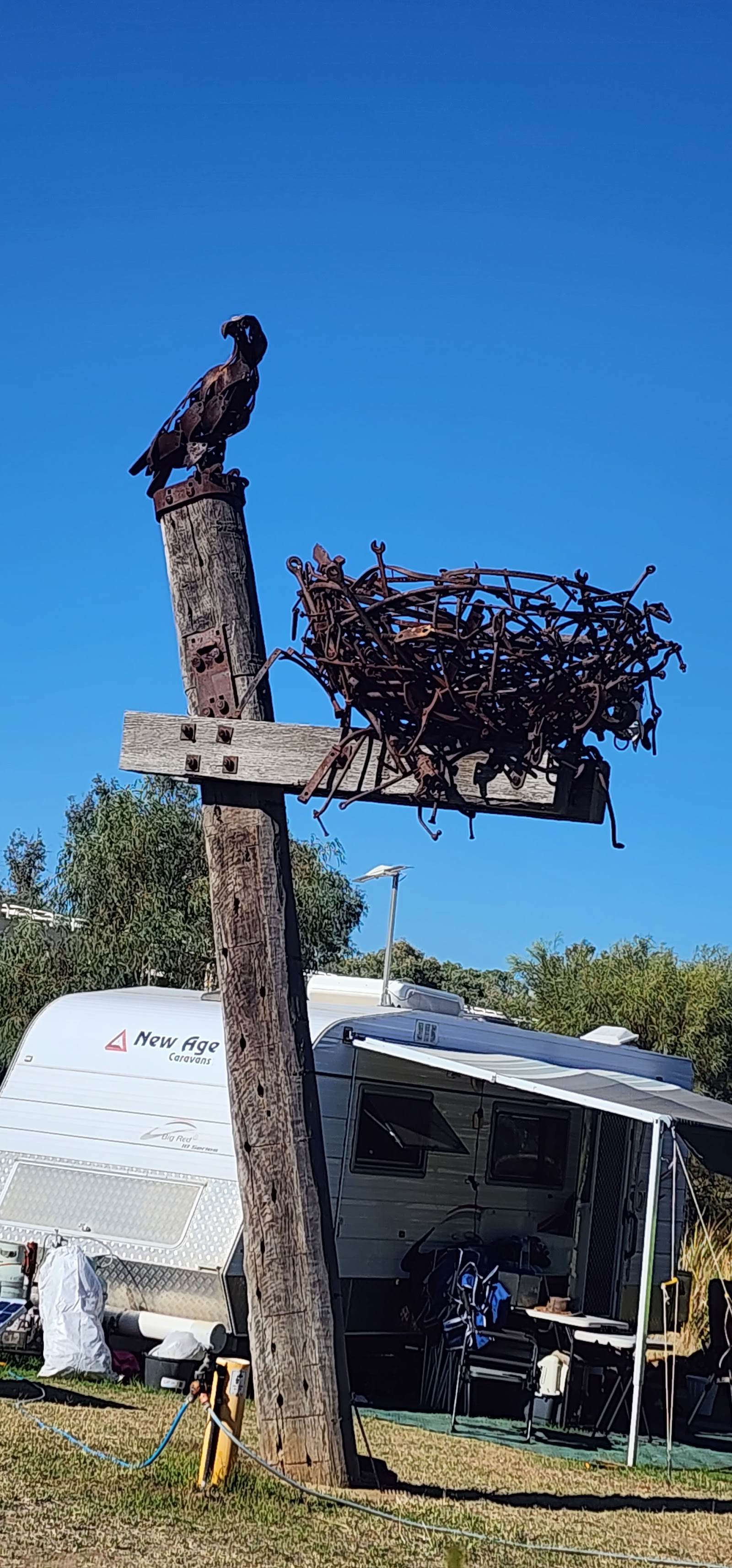 Barcoo River Camping Area Blackall 4