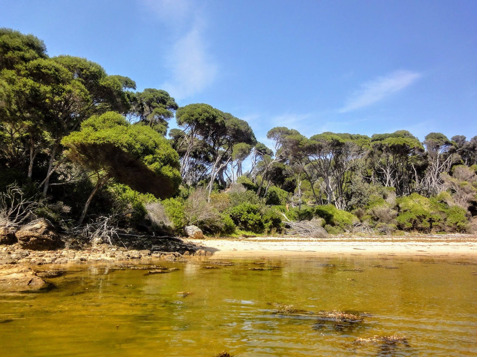 Hobart Beach 6