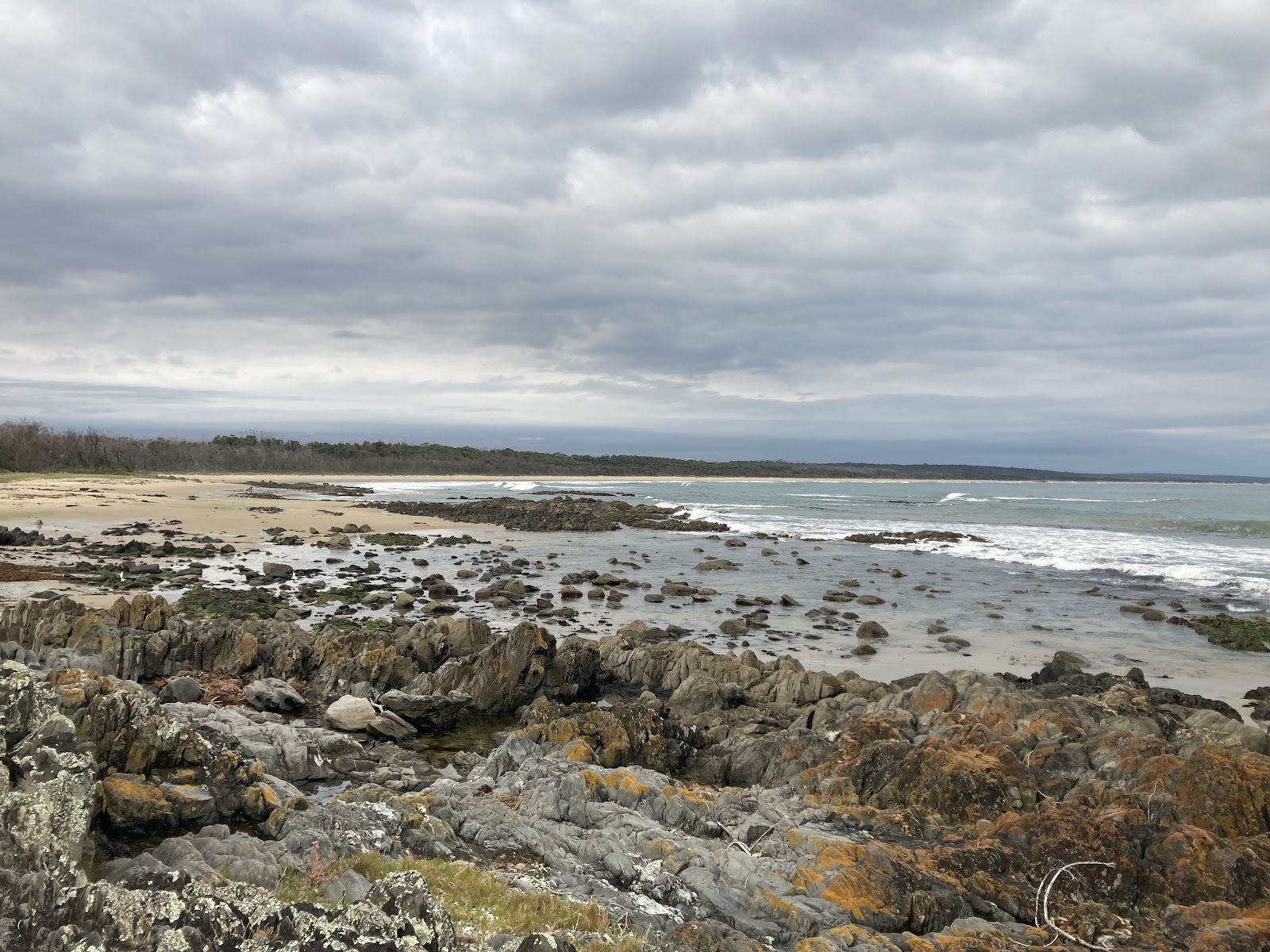 Banksia Bluff Campground 4