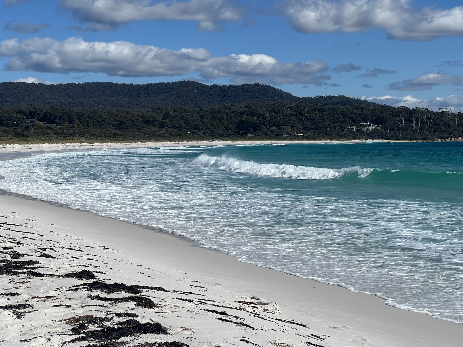 Swimcart Beach Campground - Bay of Fires Cons Area 2