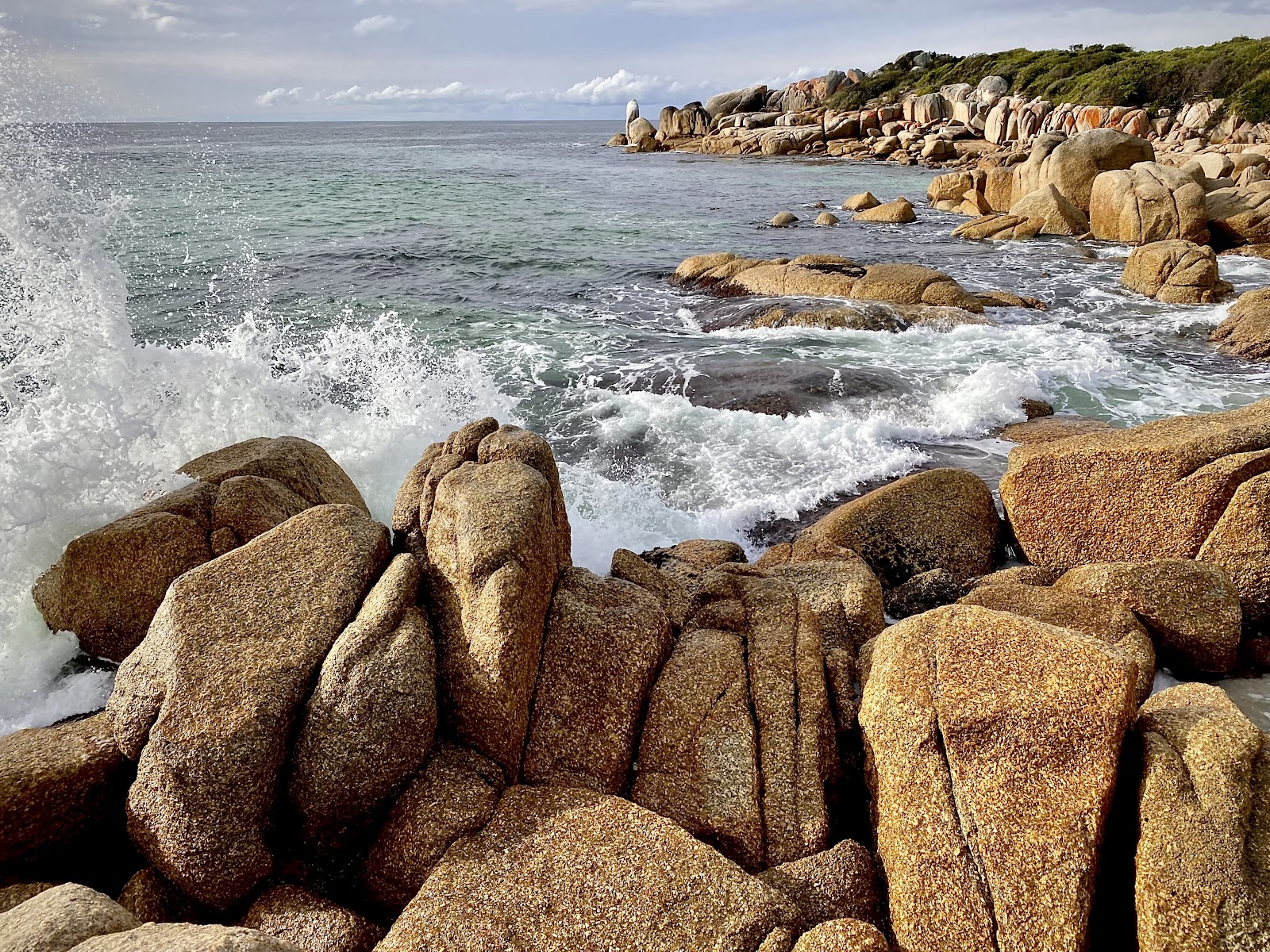 Swimcart Beach Campground - Bay of Fires Cons Area 3