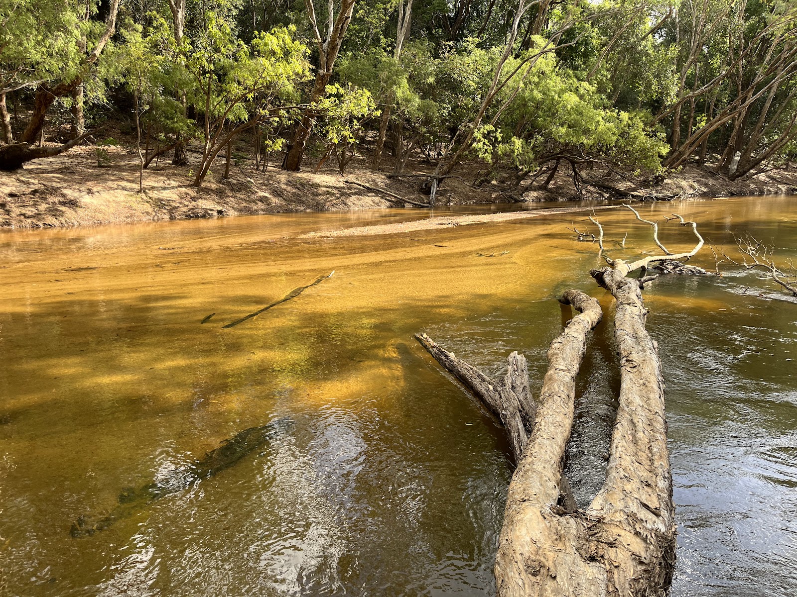 Moreton Telegraph Station Camping Ground 2