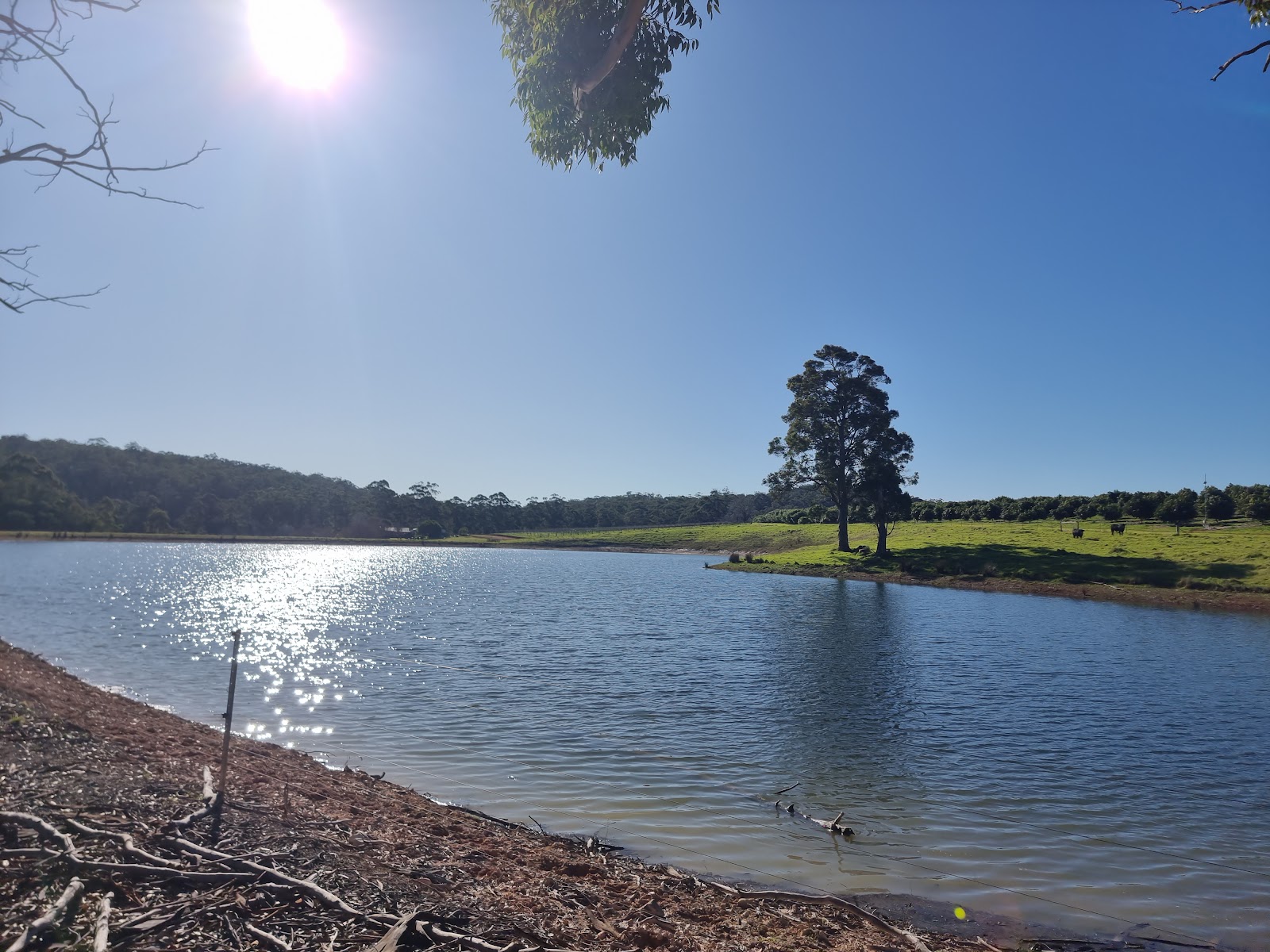 Big Brook Arboretum 2