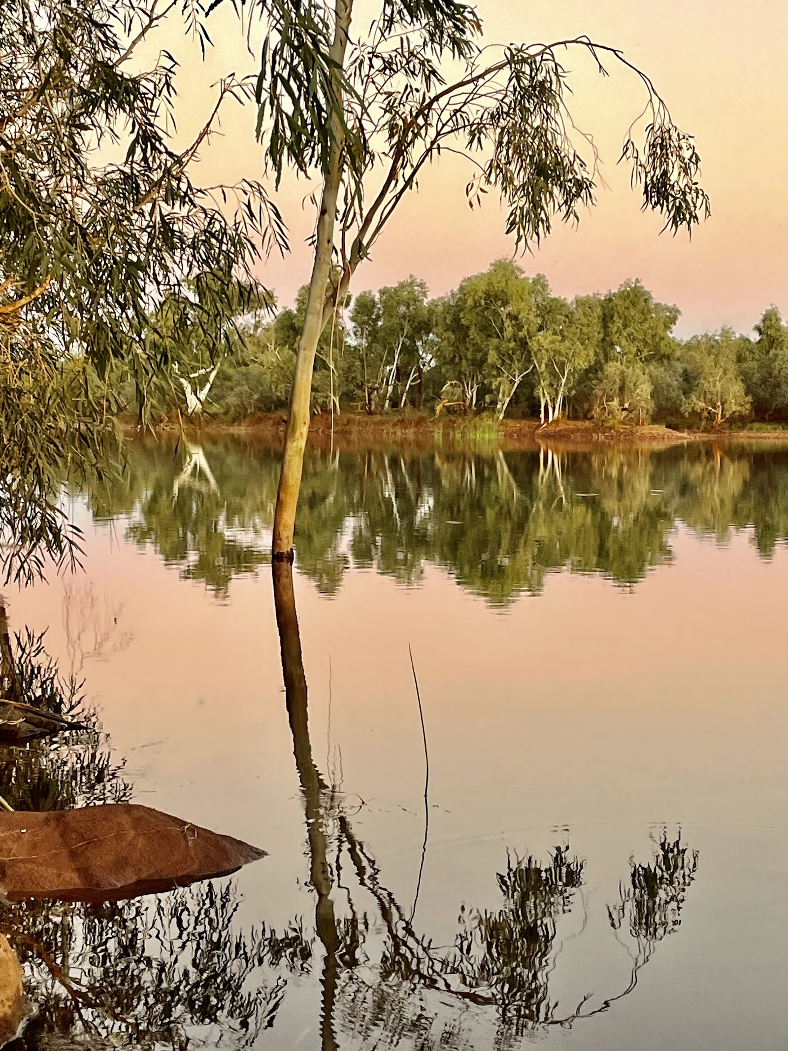 Robe River 3