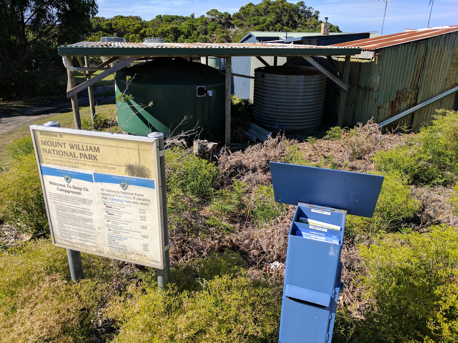 Top Camp Mount William National Park 2