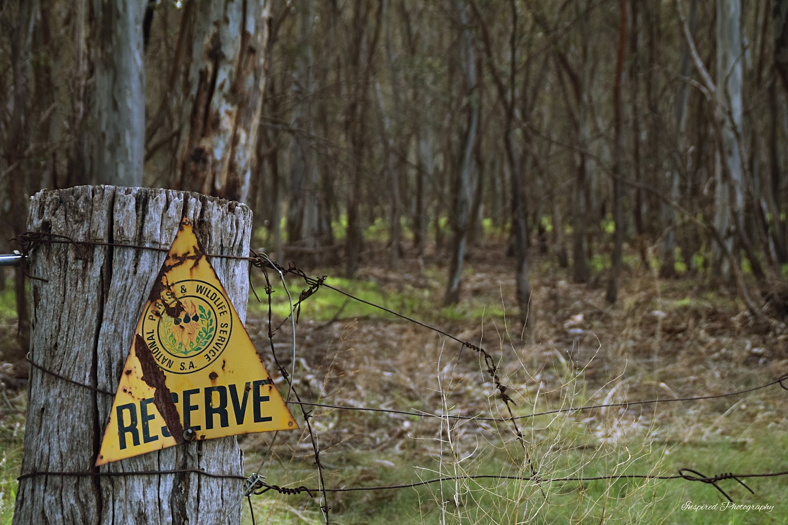 Marne Valley Conservation Park 3