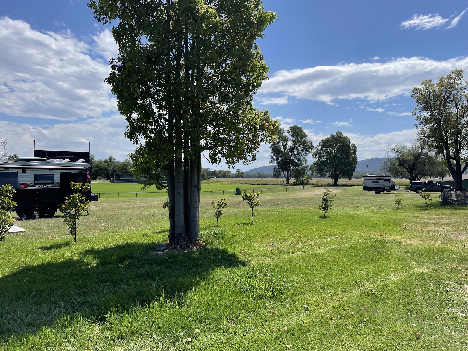 Werris Creek Campground 3