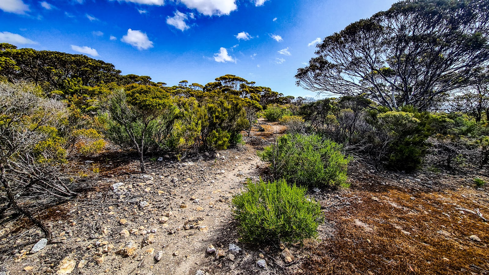 Surfleet Cove Campground 3