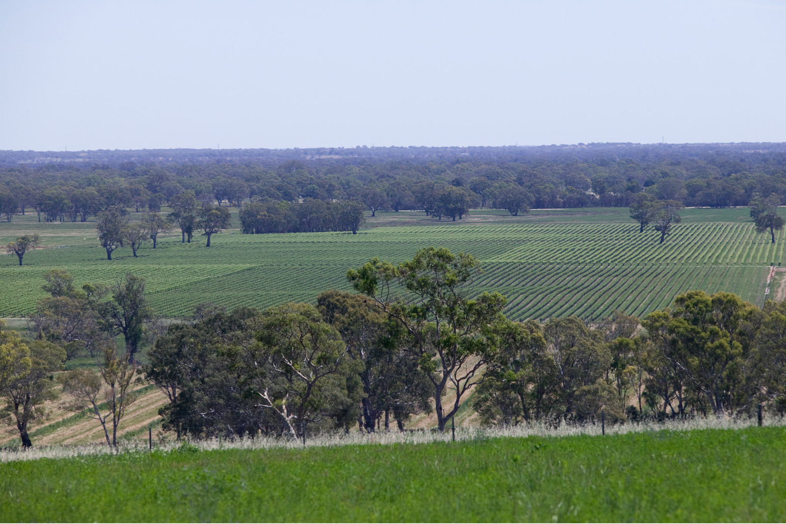 Morambro Creek 3
