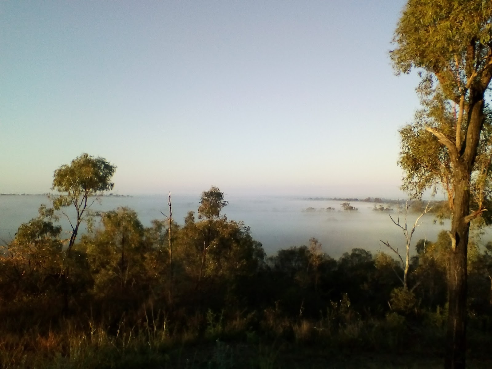 Fardooleys Bush Camp 3