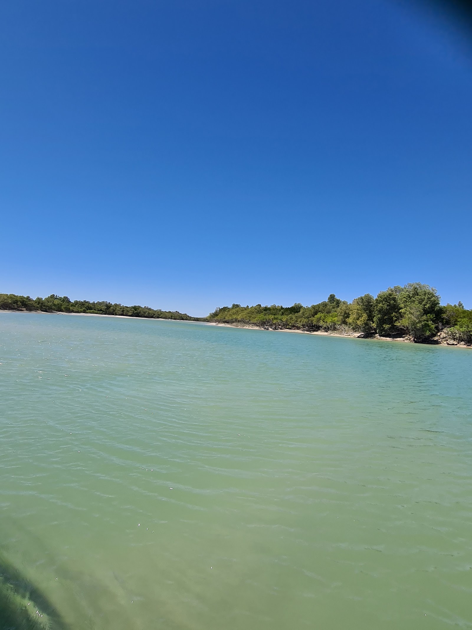 Barred Creek 2