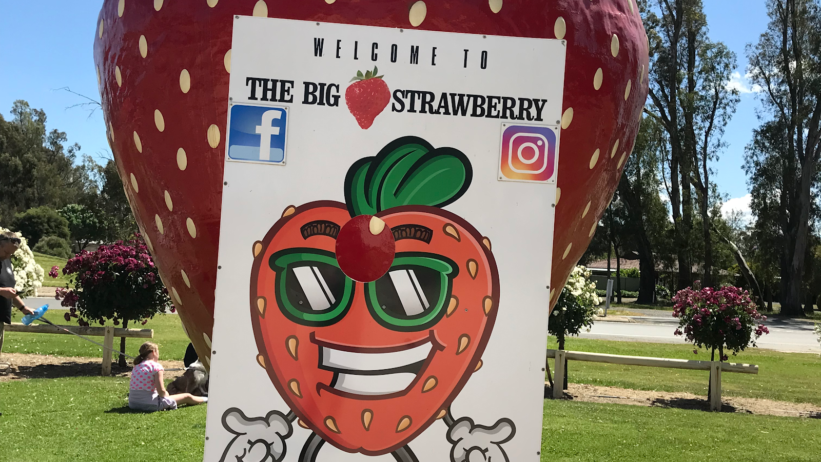 The Big Strawberry 9