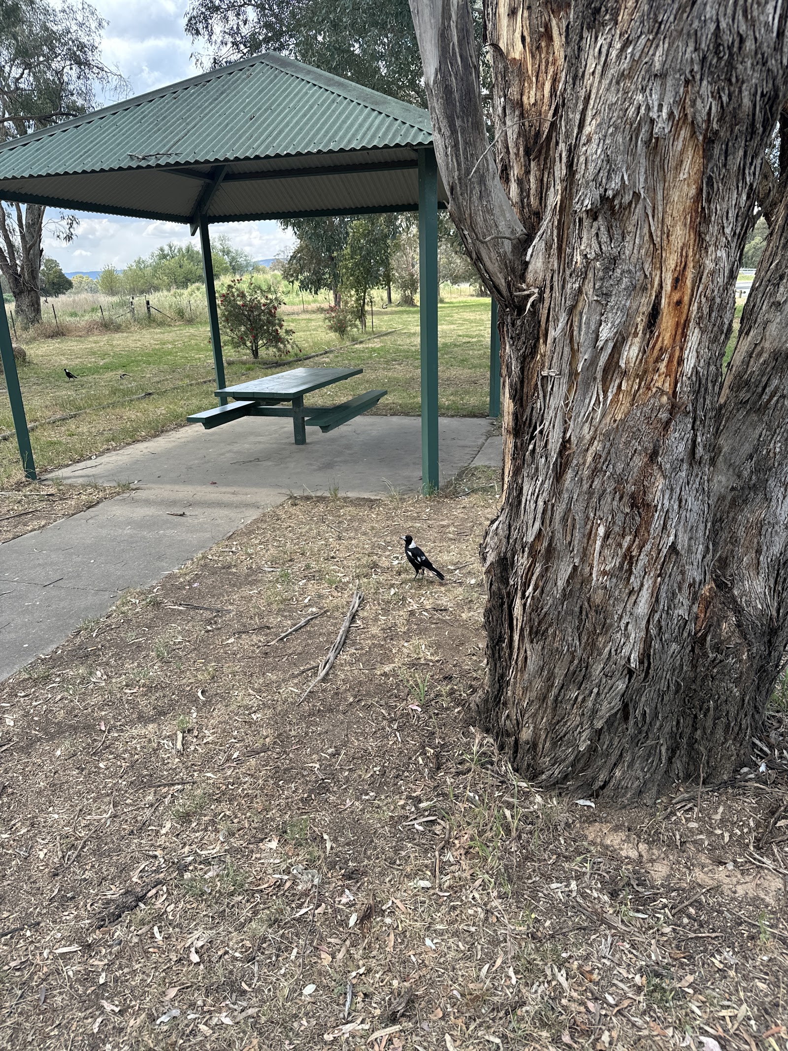 Bendick Murrell Rest Area 3