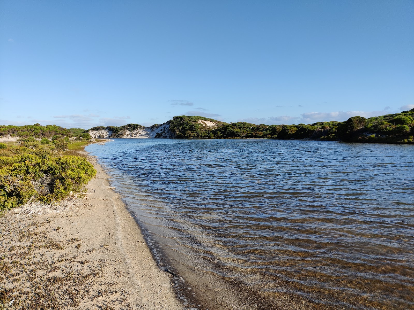 Thomas River Campground 4