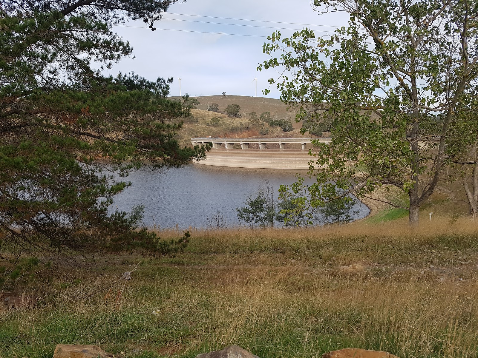 Carcoar Dam 5