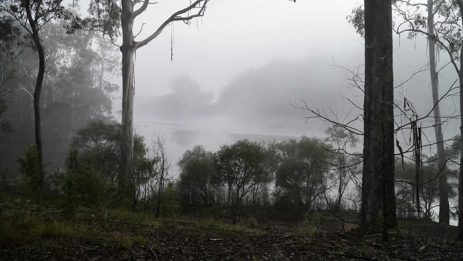 Wallagaraugh River Caravan Park 4