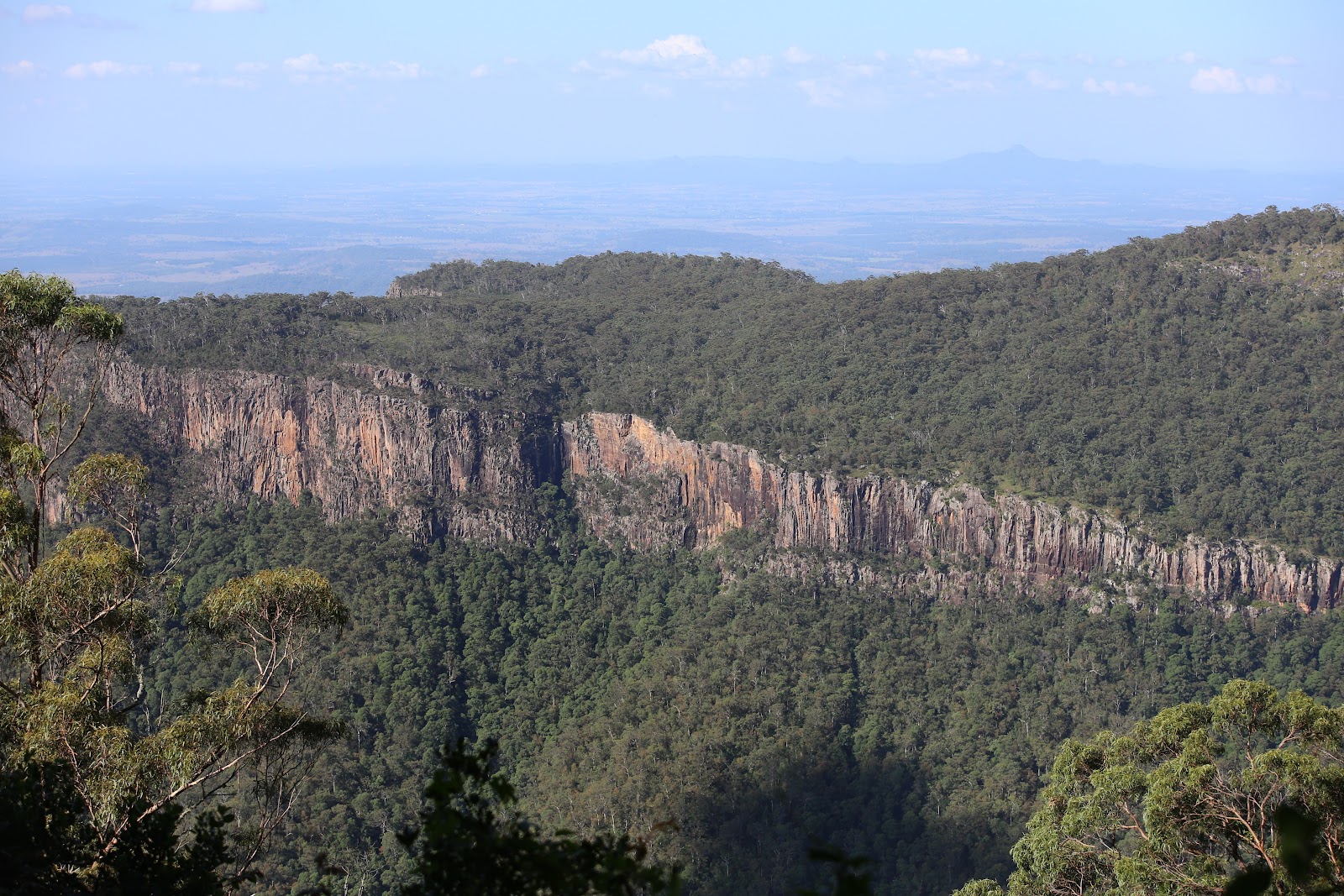 Main Range National Park, Goomburra Section 2