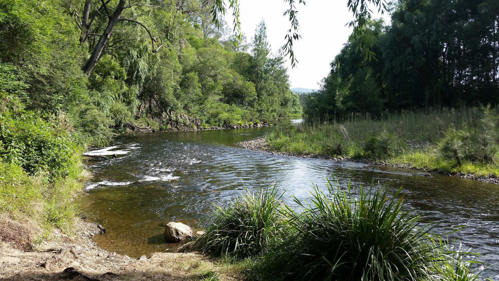 Barrington River Reserve Campground 2