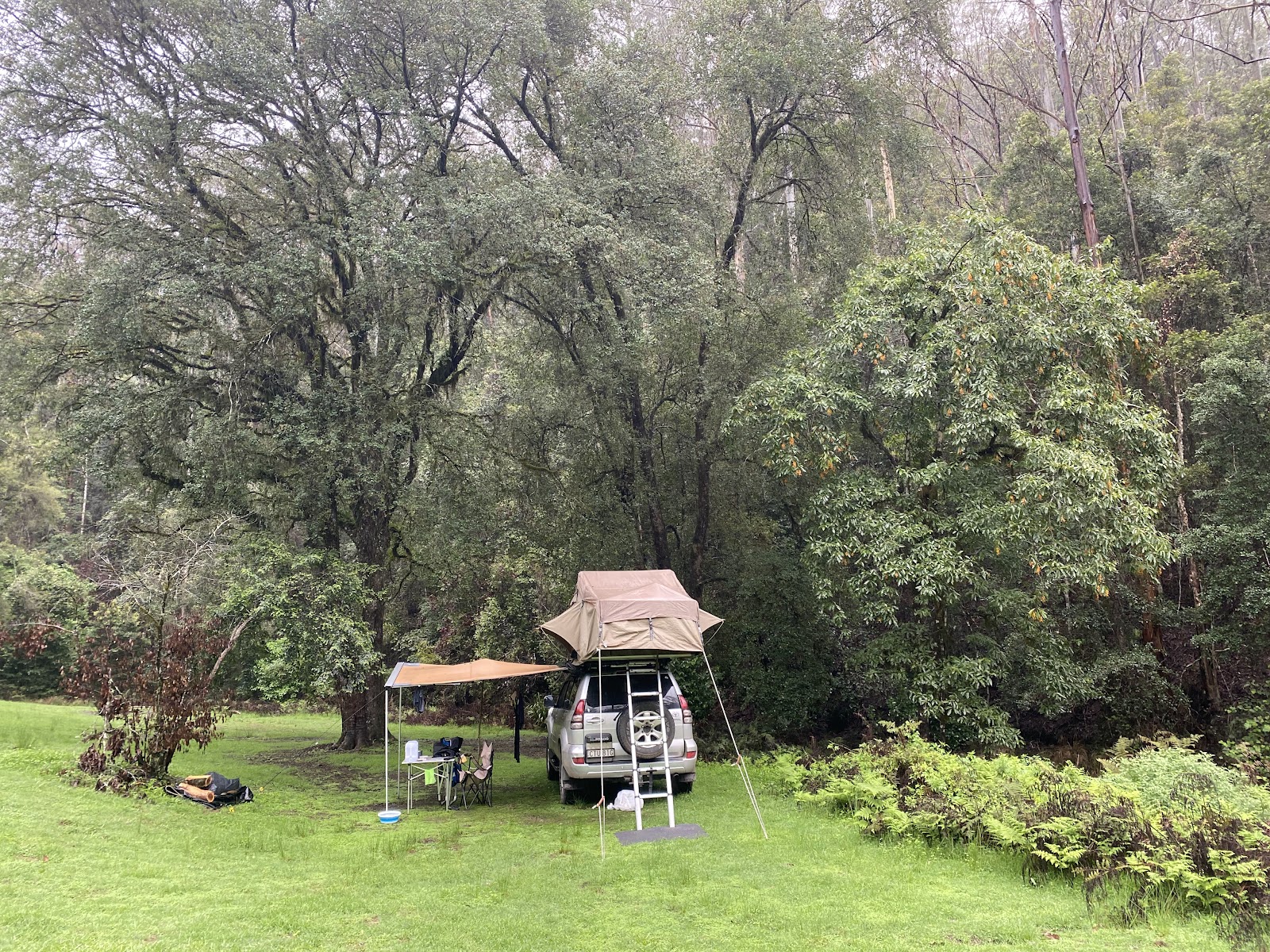 Barrington River Reserve Campground 3